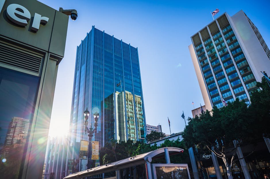 San Diego Public Transportation: A Local's Guide to Getting Around Downtown