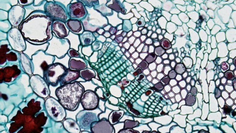 Conway's Game of Life: Unveiling Complexity from Simplicity