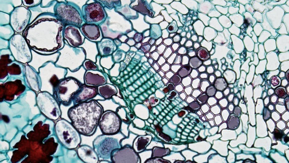 Conway's Game of Life: Unveiling Complexity from Simplicity