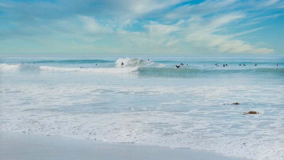 Decode the Surf Forecast: A Beginner's Guide to Surfline