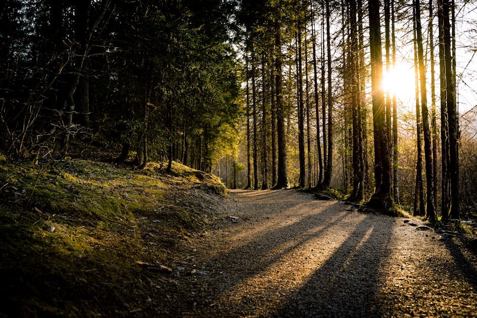 Shadow Work: A Beginner's Guide to Unlocking Your Hidden Self