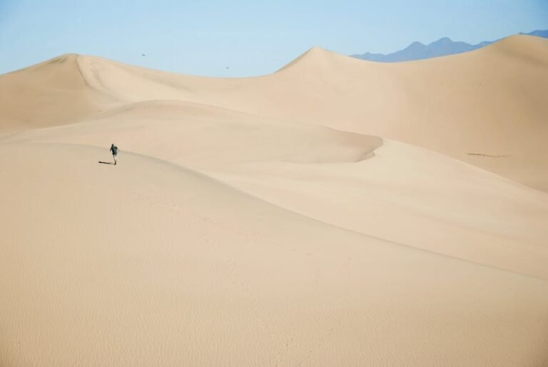 California Desert Survival: Lessons from Mauro Prosperi's Sahara Ordeal