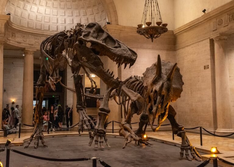 Unearth Ancient Giants: Discover California's Dinosaur Exhibits and Prehistoric History