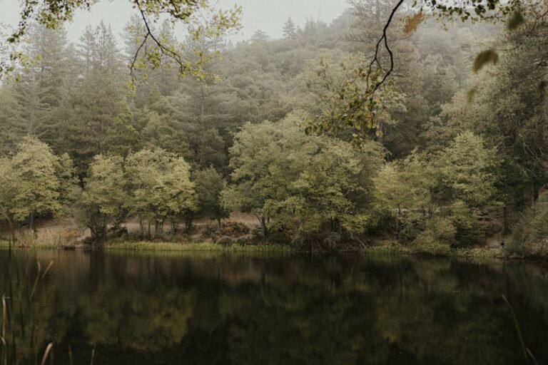 Discover California Mindfulness Practices: Nature, Wellness & Cultural Harmony
