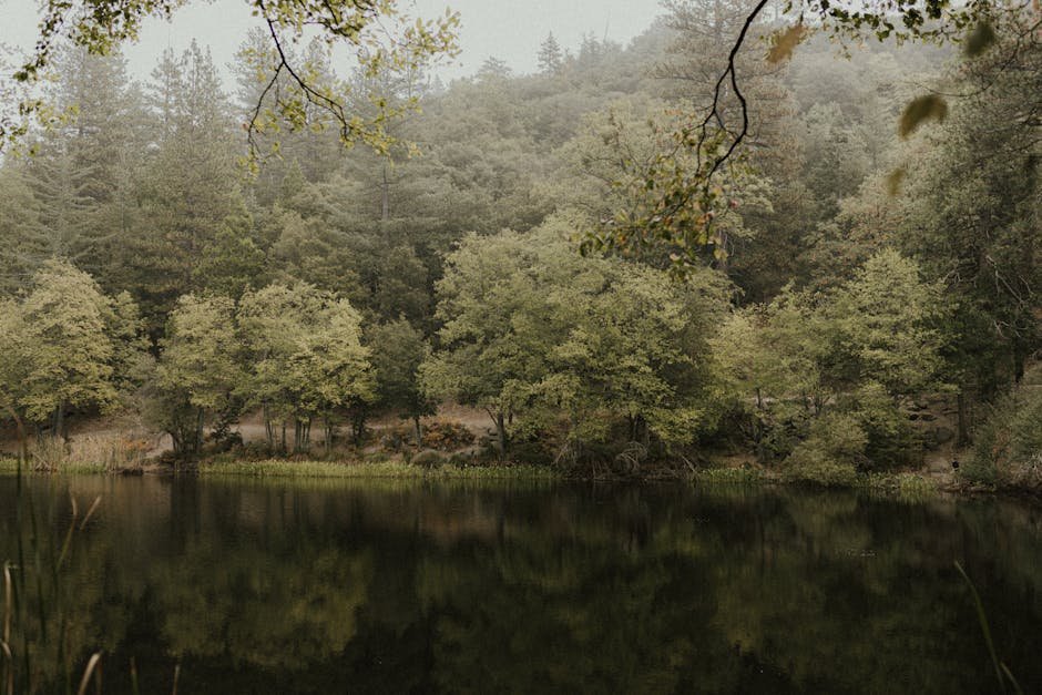 Discover California Mindfulness Practices: Nature, Wellness & Cultural Harmony