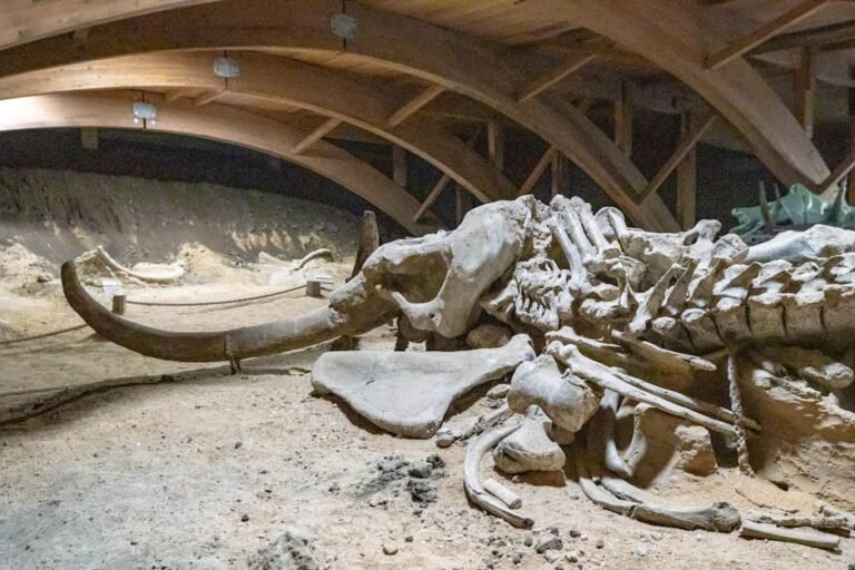De-Extinction of Mammoths: The Science, Ethics, and Future of Bringing Back Extinct Species
