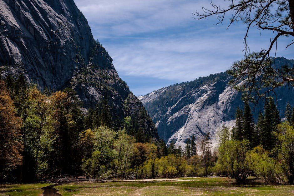 Your Essential Guide to California National Parks: Explore Iconic Landscapes