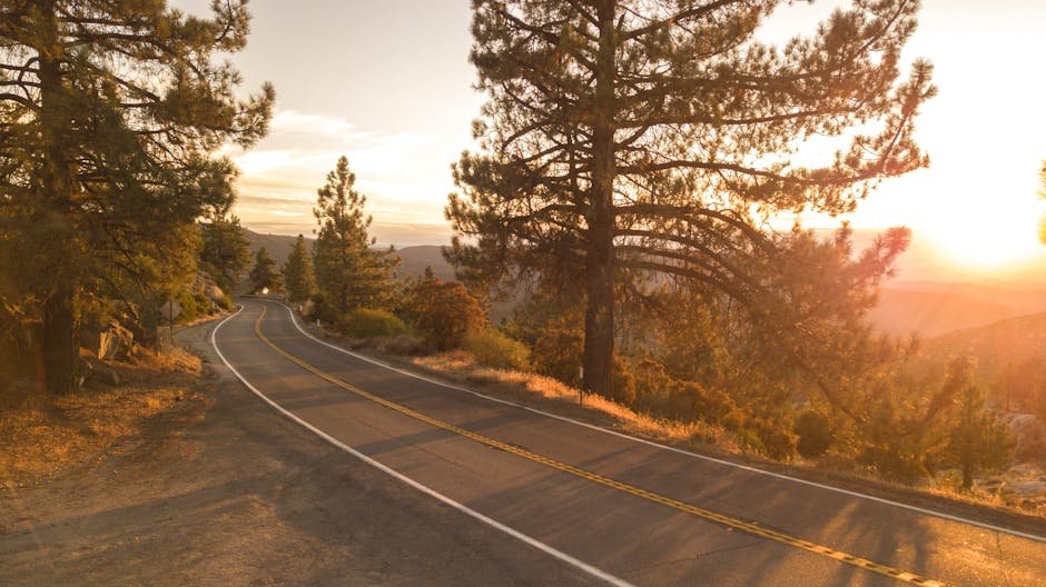 Your Ultimate California Travel Guide: Discover Golden State Wonders