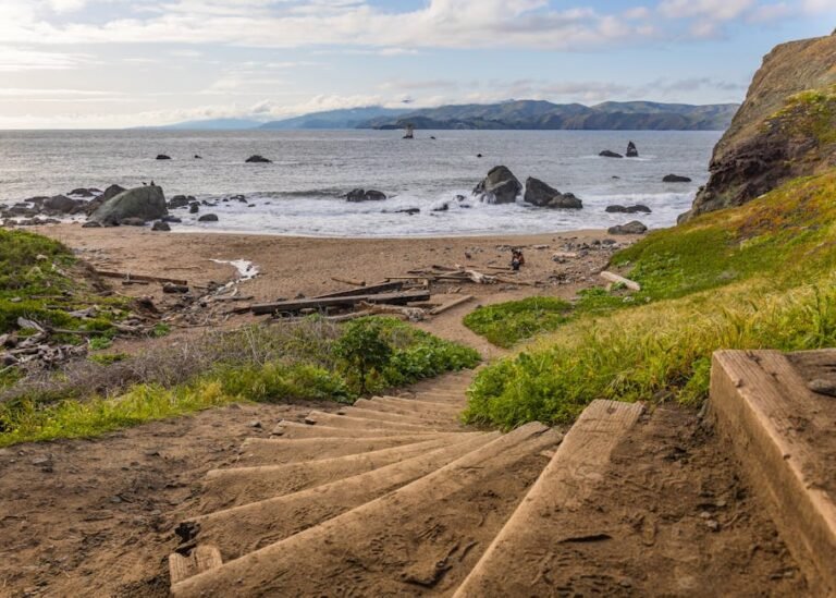 Master Your California Trip Planning: The Power of Small, Consistent Steps