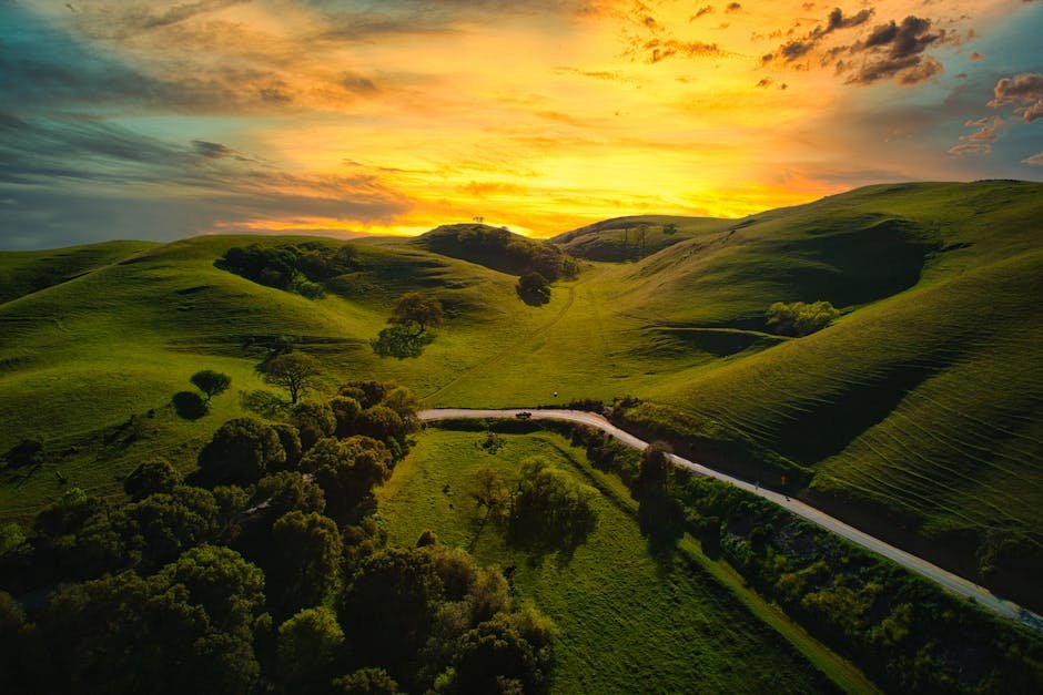 Capturing California's Beauty: The DJI Story & Its Impact on Travel Photography
