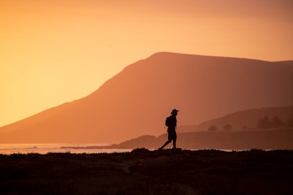 Arctic Odyssey to California Trails: Aage Michelsen's Saga for Ultimate Adventure Inspiration
