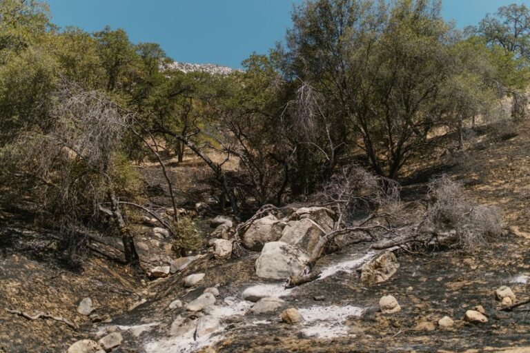 California's Enduring Spirit: A Traveler's Guide to Resilience & Natural Wonders