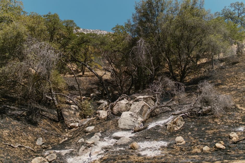 California's Enduring Spirit: A Traveler's Guide to Resilience & Natural Wonders