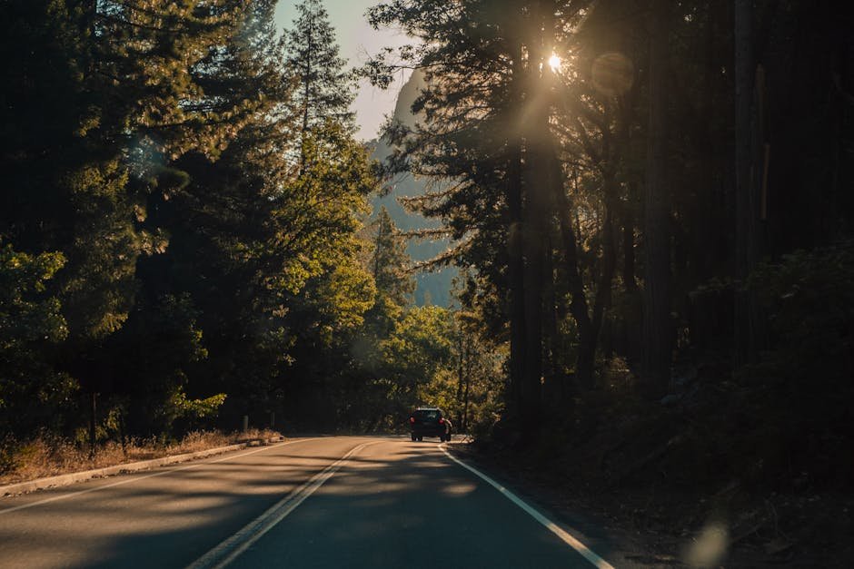 Ultimate California Road Trip: Iconic Routes & Hidden Gems