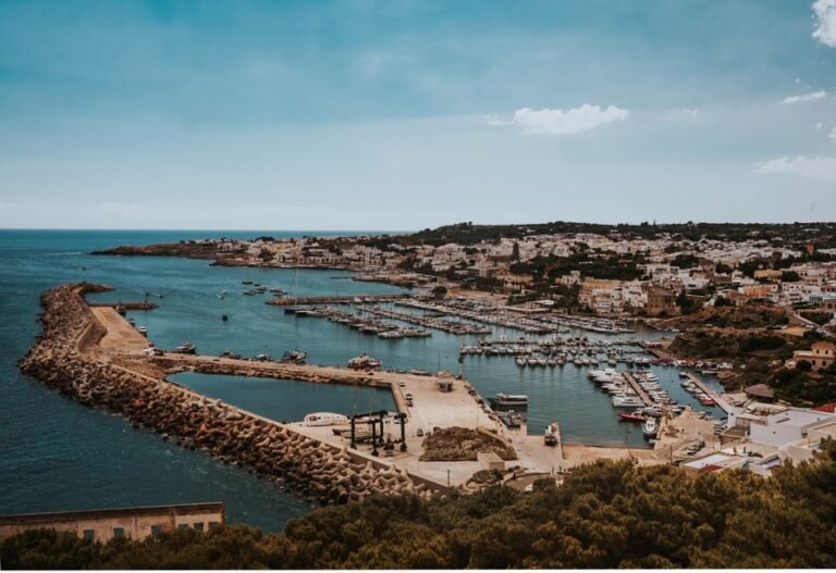 The Eagle's Shadow: Sultan Mehmed II's Grand Vision and the Ottoman Invasion of Otranto