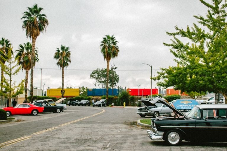 Beyond the BMW 333: Exploring California's Iconic Classic Car Culture